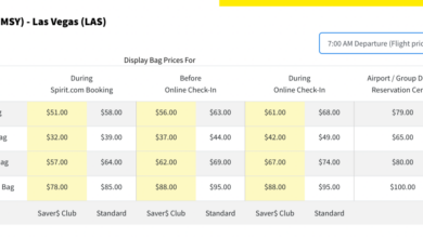 Spirit airlines enters 8 25 million settlement for hidden baggage fees