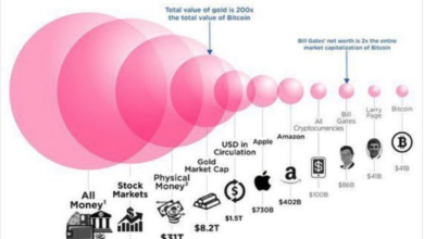 Gold is outperforming bitcoin and the stock market in the past 3 months whats the better hedge