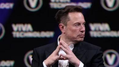 Utter madness elon musk reacts to californias proposed gender affirming law