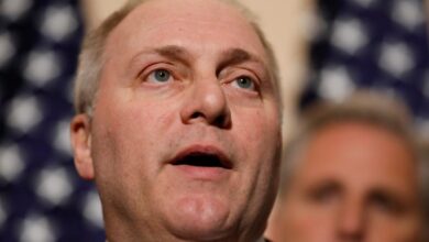 Scalise reveals first legislation for republican house vows bold agenda