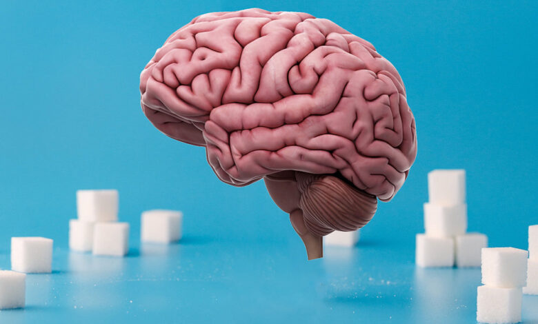 Navigating sweeteners understanding the effects of sugar and artificial alternatives on brain health