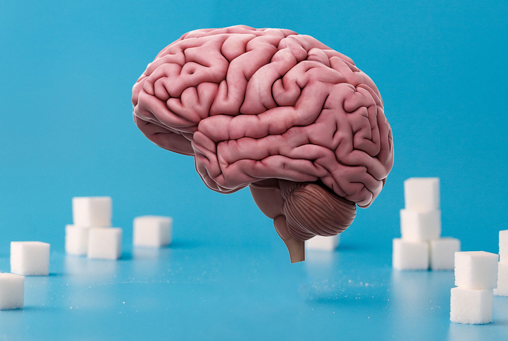 Navigating sweeteners understanding the effects of sugar and artificial alternatives on brain health