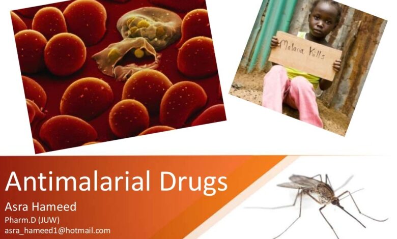 Toxicologist says anti malaria drugs show promise in treating coronavirus