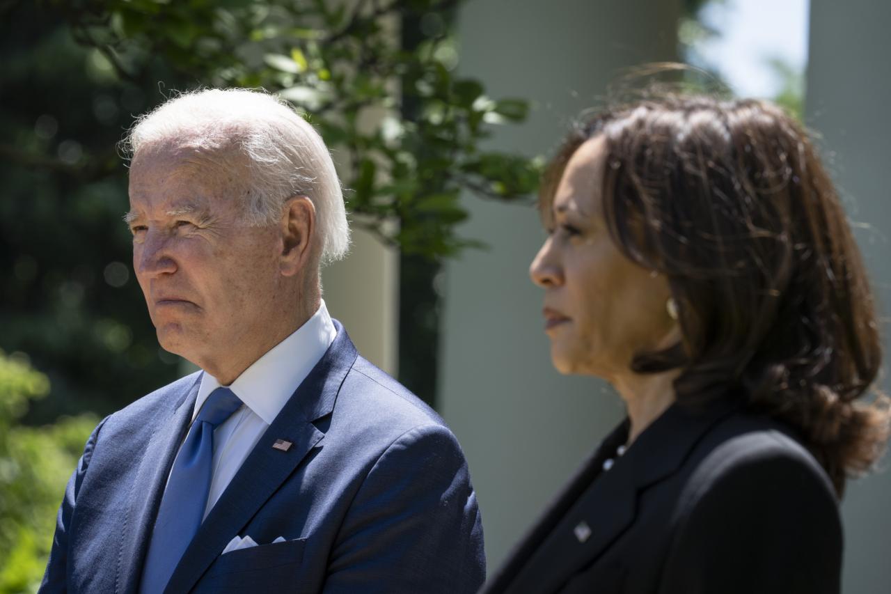 Kamala biden harris democrats