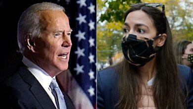 Biden a moderate sanders aoc plans for candidate suggest this instead