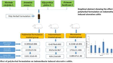 New analysis reveals herbal successes in ulcerative colitis