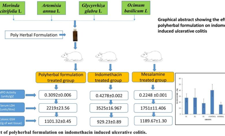 New analysis reveals herbal successes in ulcerative colitis