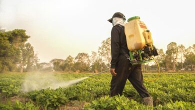 Pesticide exposure linked to lou gehrigs disease could be used to predict the disease risk