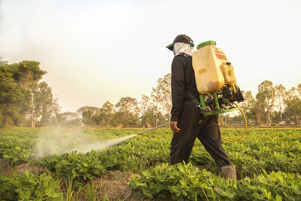 Pesticide exposure linked to lou gehrigs disease could be used to predict the disease risk