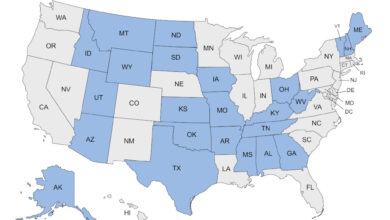 Us now a majority permitless carry country after desantis signs gun rights law