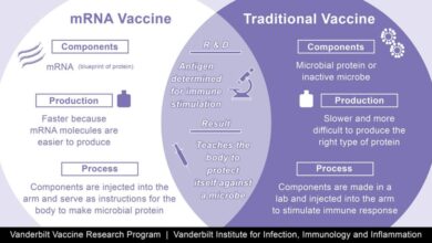 Dna in pfizer covid 19 vaccine is several hundred times over limit report