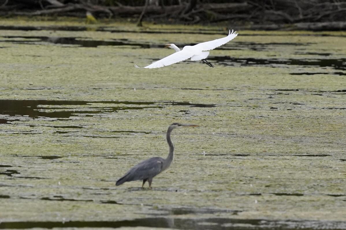 House committee passes resolution against new biden water rule