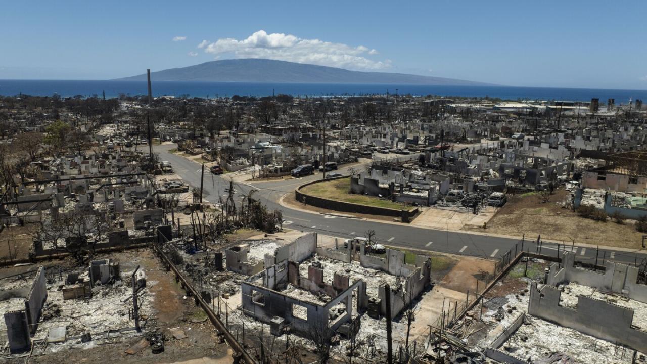 In maui fires defying police blockades proved life saving