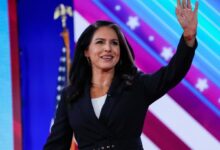 Gabbard gop senators to appear in first hearing on weaponization of the federal government