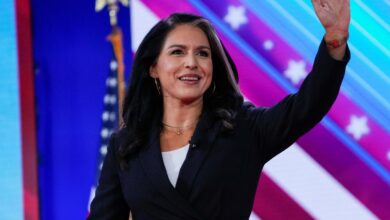 Gabbard gop senators to appear in first hearing on weaponization of the federal government