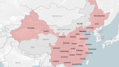 Chinas coronavirus numbers dont add up and the white house doesnt believe them