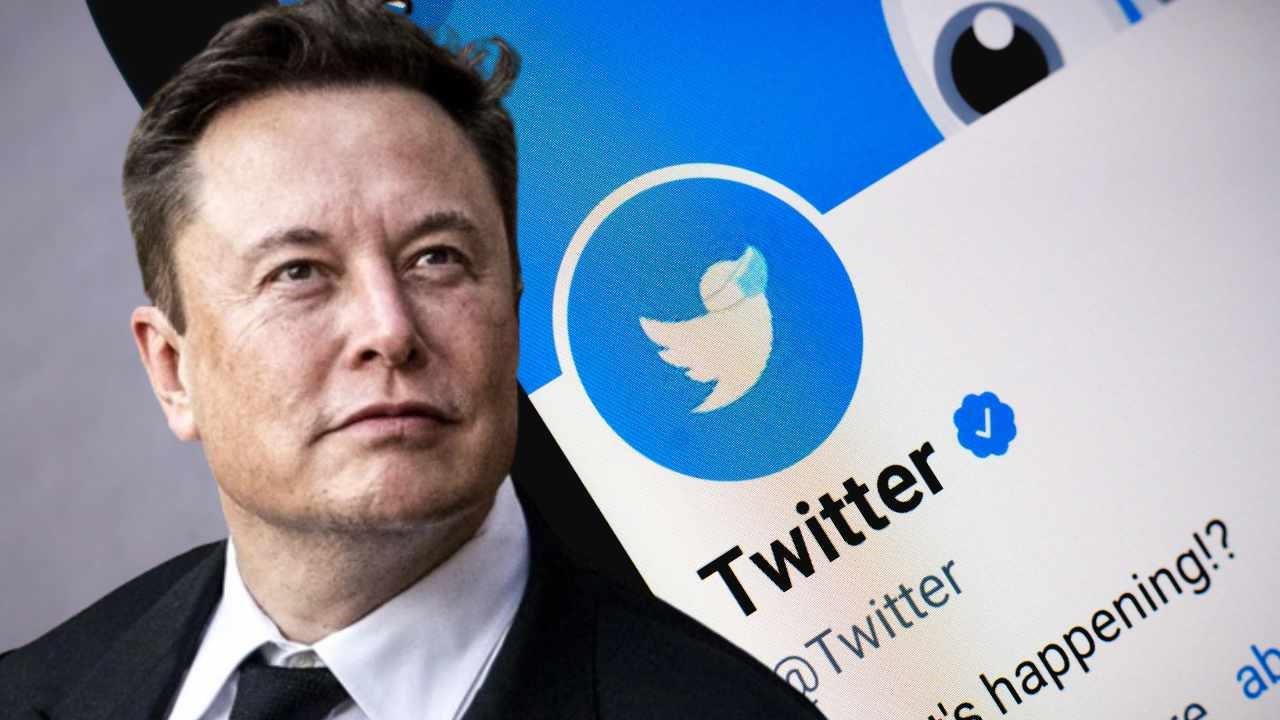 Climate activists panic that twitter under musk allows more dissenting views on global warming