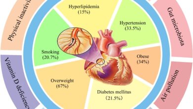 For older diabetics moderate overweight linked to lowest cardiovascular risk study