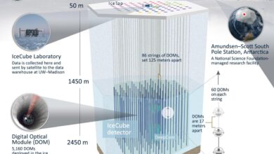 South pole station and icecube neutrino detector a comprehensive report