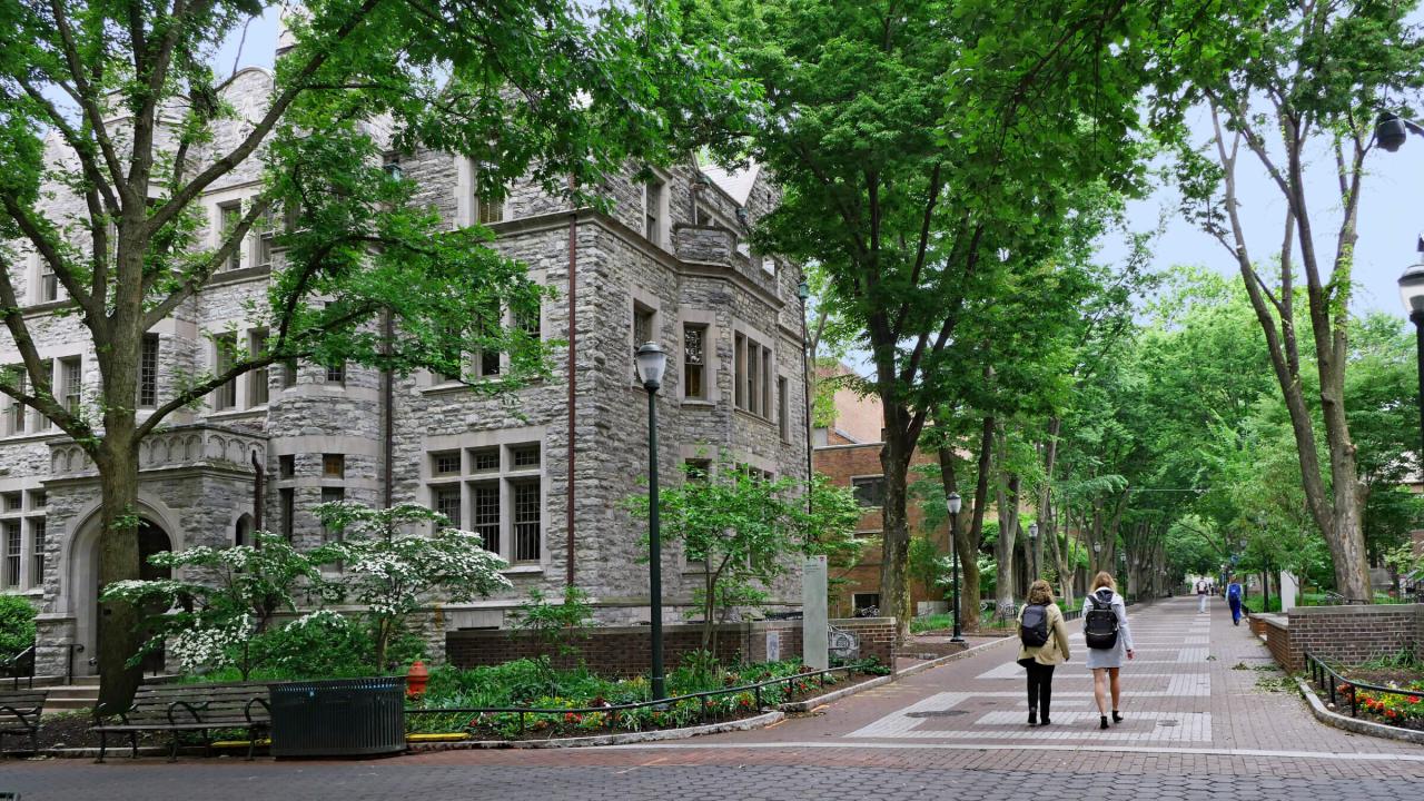 Major donor stops donations to upenn over its response to hamas attacks on israel