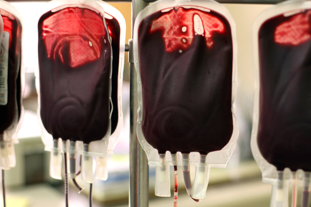 Researchers concerned about blood transfusions from vaccinated and long covid patients propose changes