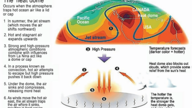 Heat wave swelters plains to east coast severe weather risk across northern plains