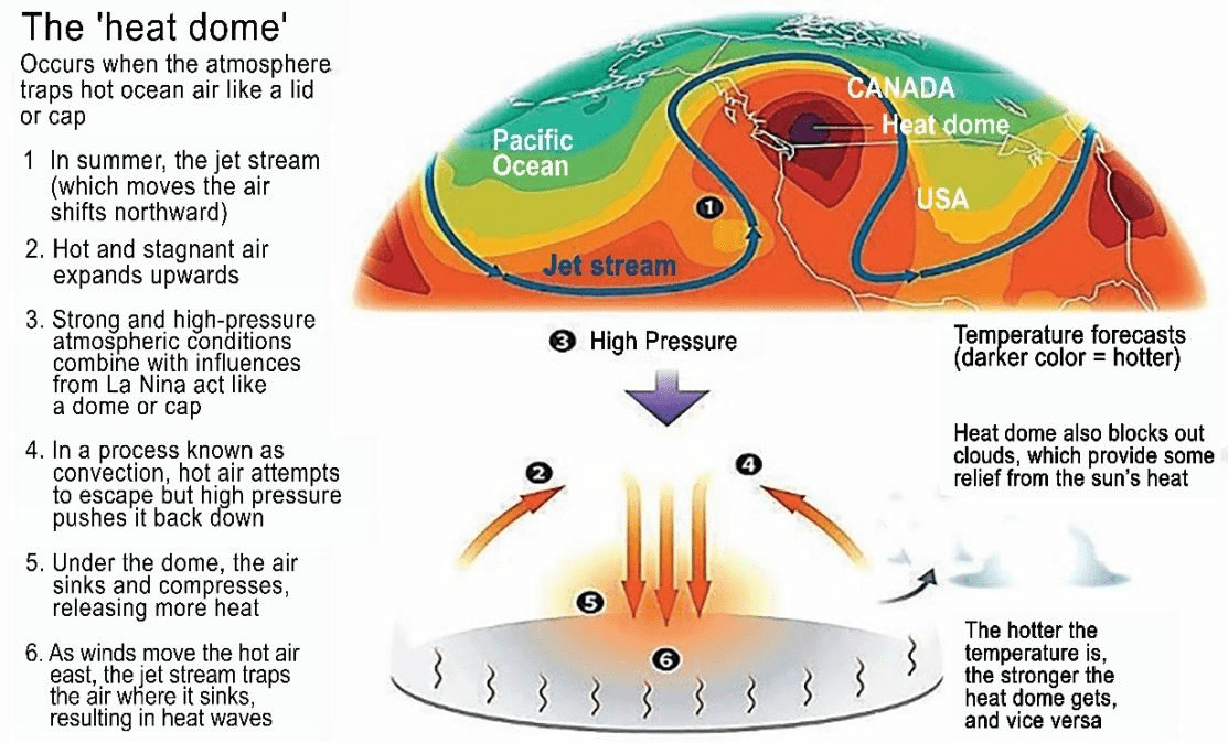 Heat wave swelters plains to east coast severe weather risk across northern plains