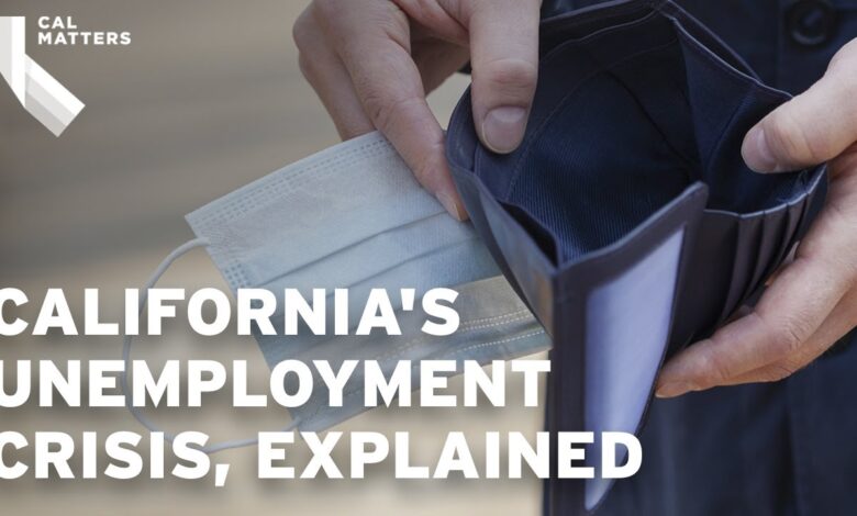 California highest unemployment fraud and unemployment rate