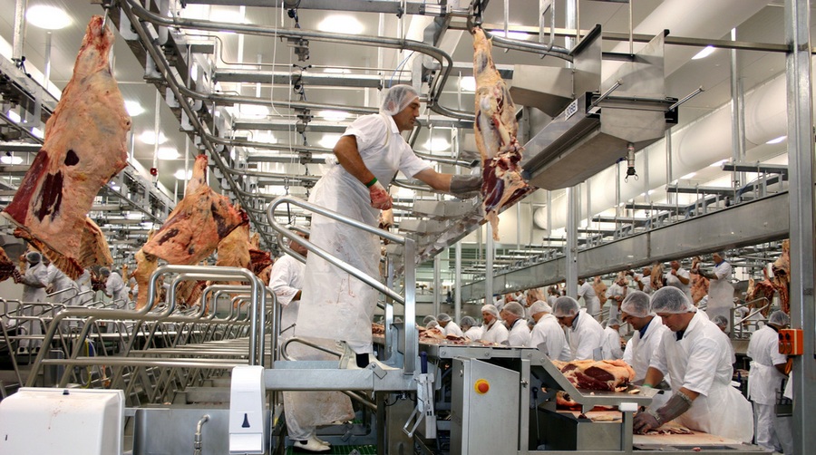 Usda finds coronavirus related meat plant shutdowns behind cattle beef price disparity