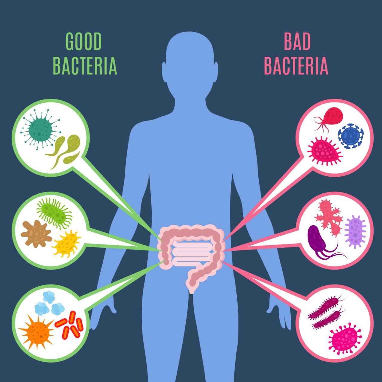 A gut microbe that heals the gut is dying off