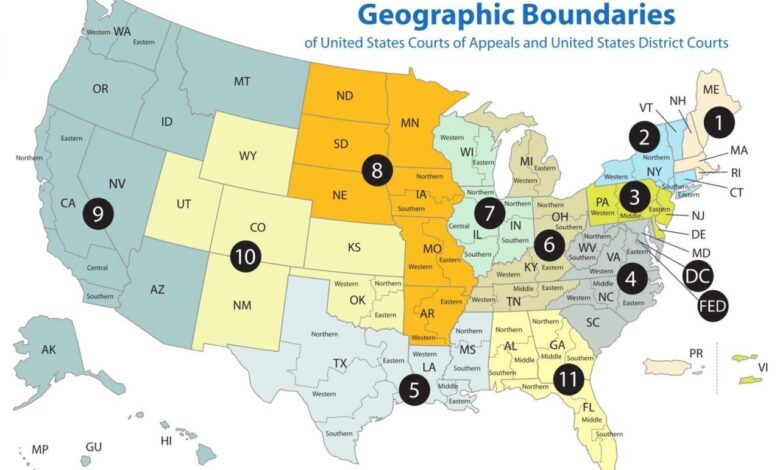 Us court of appeals strikes down use of jail and probation for jan 6 parading misdemeanor