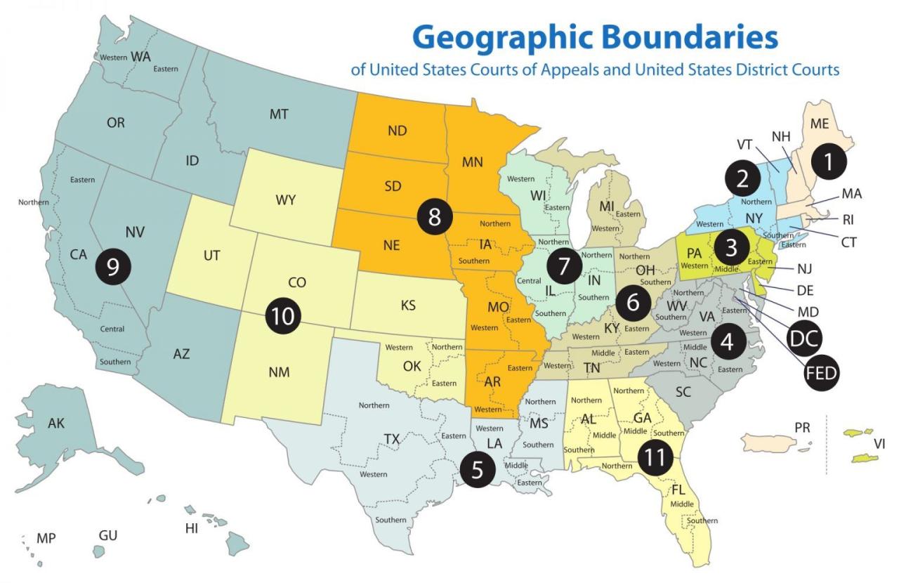 Us court of appeals strikes down use of jail and probation for jan 6 parading misdemeanor