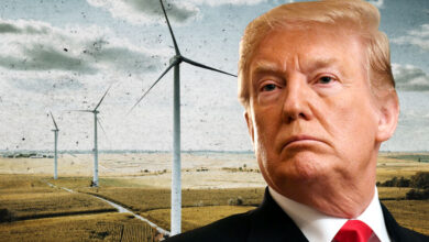 Trump promises action against offshore wind power projects on day one of presidency