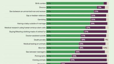 Americans say immigration is the most critical issue facing us gallup poll