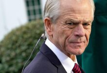 White house adviser peter navarro blames federal reserve for moving too far too fast causing market plunge