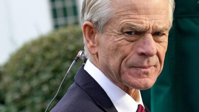 White house adviser peter navarro blames federal reserve for moving too far too fast causing market plunge
