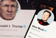Trump responds to elon musks twitter revelation