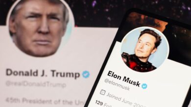 Trump responds to elon musks twitter revelation