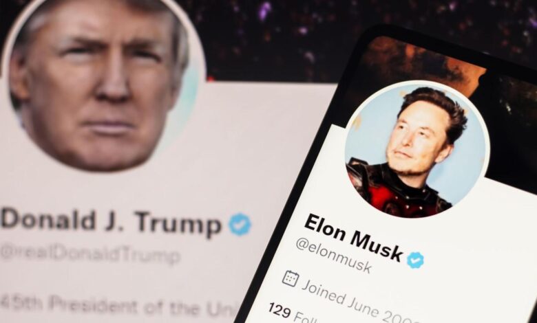 Trump responds to elon musks twitter revelation
