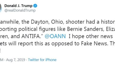 Wsj the dayton killer was a left winger but dont blame elizabeth warren