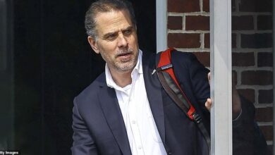 Senators release bank records showing payments to hunter biden from china