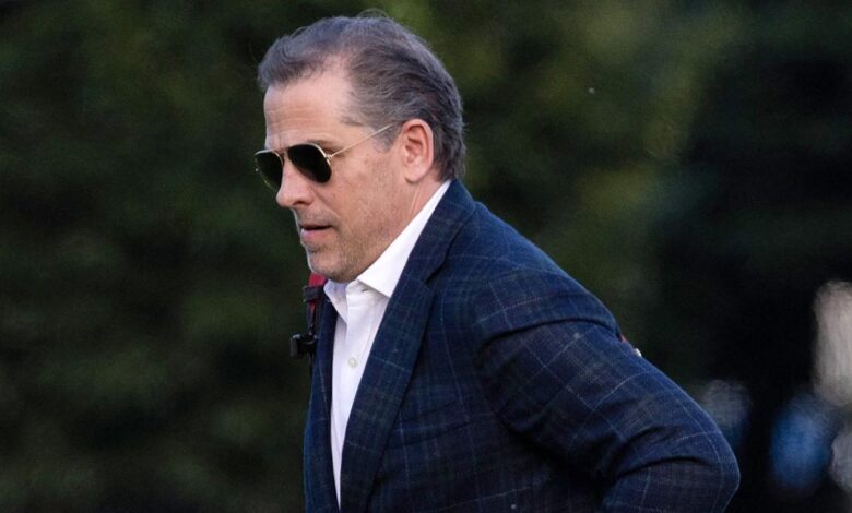 New whistleblower claims fbi leaders delayed hunter biden investigation sen johnson