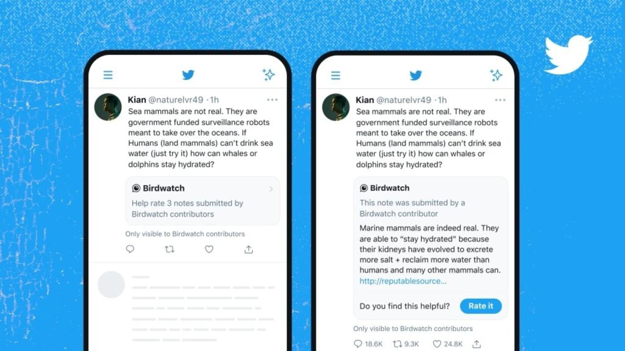 Twitters birdwatch fact checking tool now allows public visibility of notes