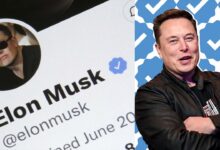 Elon musk confirms twitter employees sold verification badges behind the scenes