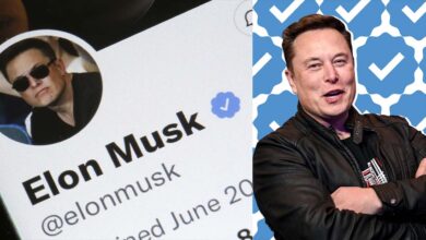 Elon musk confirms twitter employees sold verification badges behind the scenes