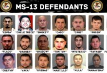 Media fails to note 6 murder suspects are illegal immigrants ms 13 gangbangers