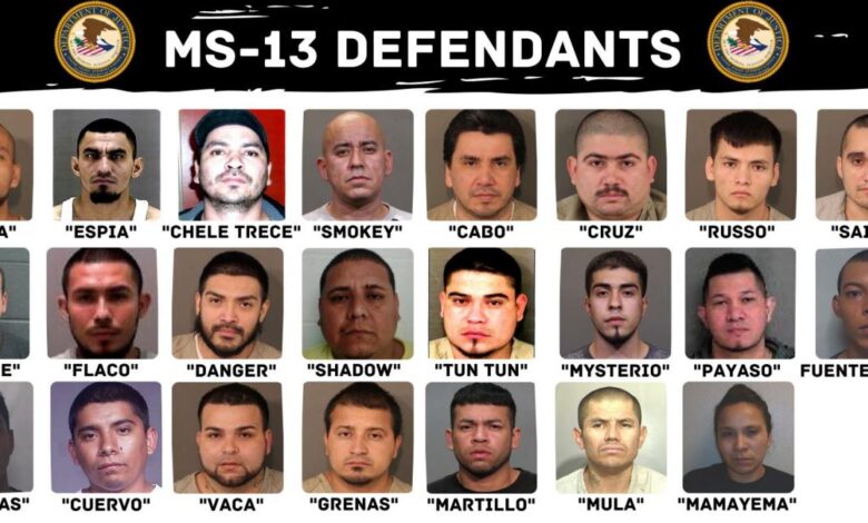 Media fails to note 6 murder suspects are illegal immigrants ms 13 gangbangers
