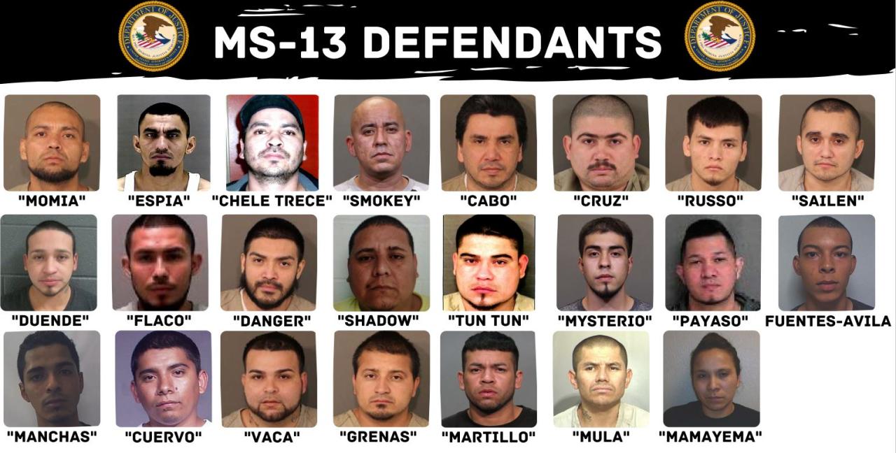 Media fails to note 6 murder suspects are illegal immigrants ms 13 gangbangers