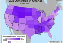 Gun control in tough spot in increasingly well armed america