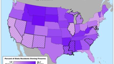 Gun control in tough spot in increasingly well armed america